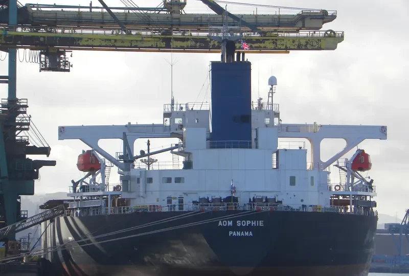 AOM SOPHIE Bulk Carrier IMO 9404766 photo 7