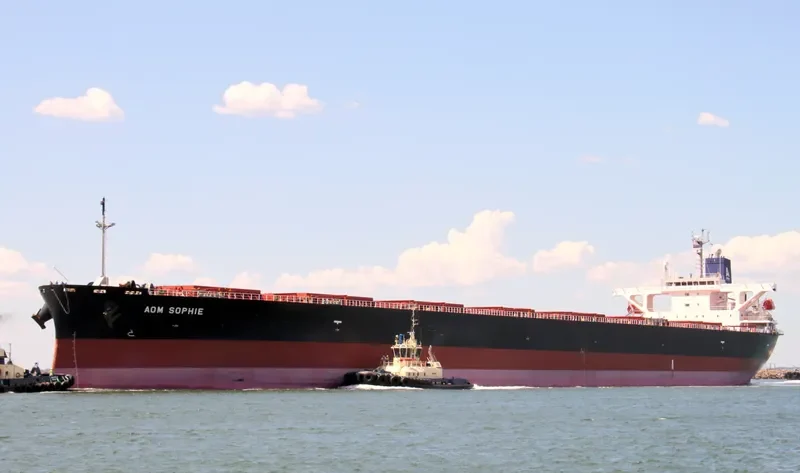 AOM SOPHIE Bulk Carrier IMO 9404766 photo 8