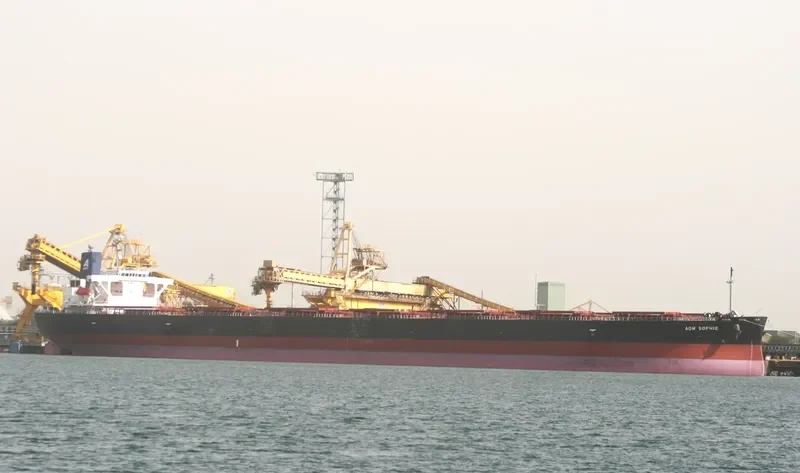 AOM SOPHIE Bulk Carrier IMO 9404766 photo 10