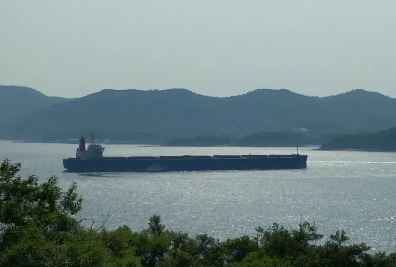 UNTA Bulk Carrier IMO 9404778