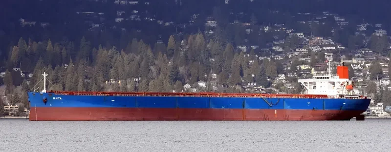 UNTA Bulk Carrier IMO 9404778 photo 2