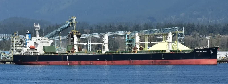 CORAL GEM Bulk Carrier IMO 9404998 photo 9