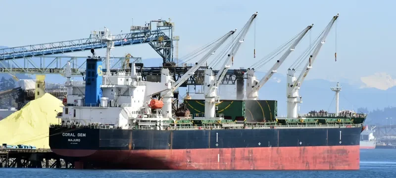 CORAL GEM Bulk Carrier IMO 9404998 photo 10