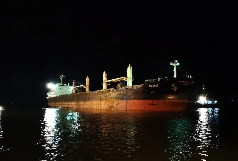 EM JADE Bulk Carrier IMO 9405007 photo 2