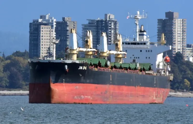 JADE Bulk Carrier IMO 9405019