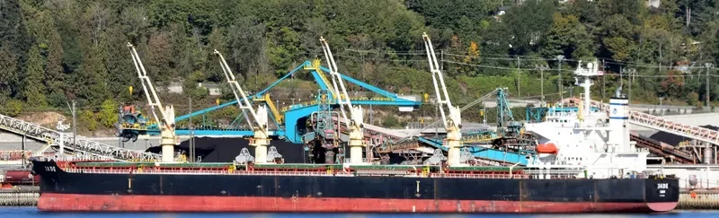 JADE Bulk Carrier IMO 9405019 photo 3