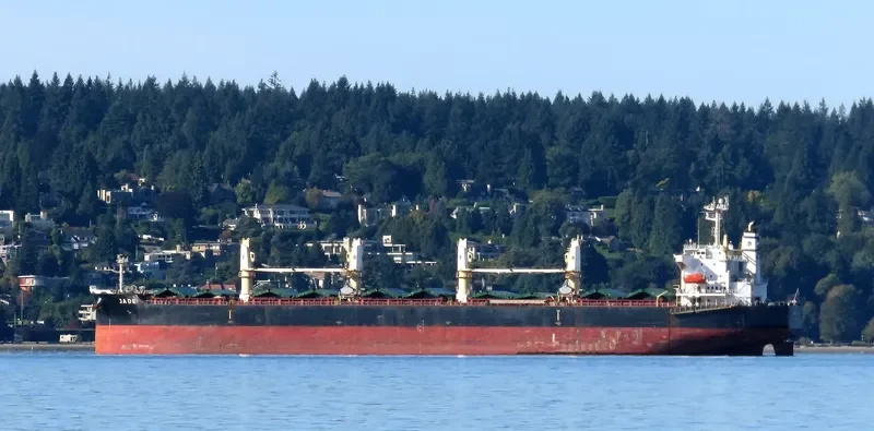 JADE Bulk Carrier IMO 9405019 photo 8
