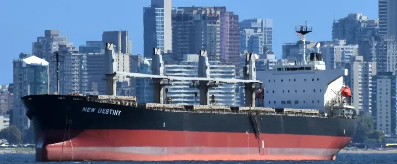 EVRIALI Bulk Carrier IMO 9405435 photo 8