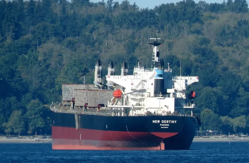 EVRIALI Bulk Carrier IMO 9405435 photo 10