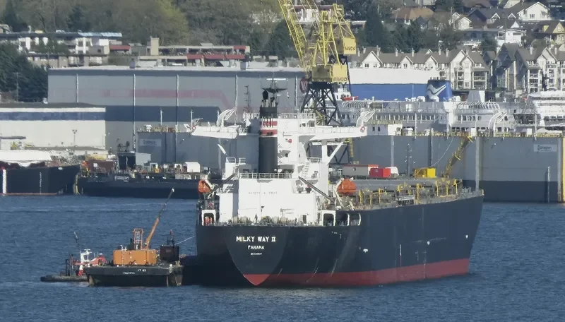 MILKY WAY II Bulk Carrier IMO 9405447 photo 6