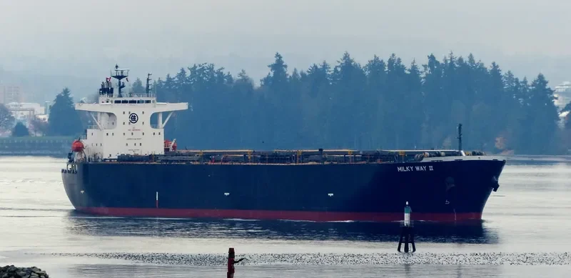 MILKY WAY II Bulk Carrier IMO 9405447 photo 7