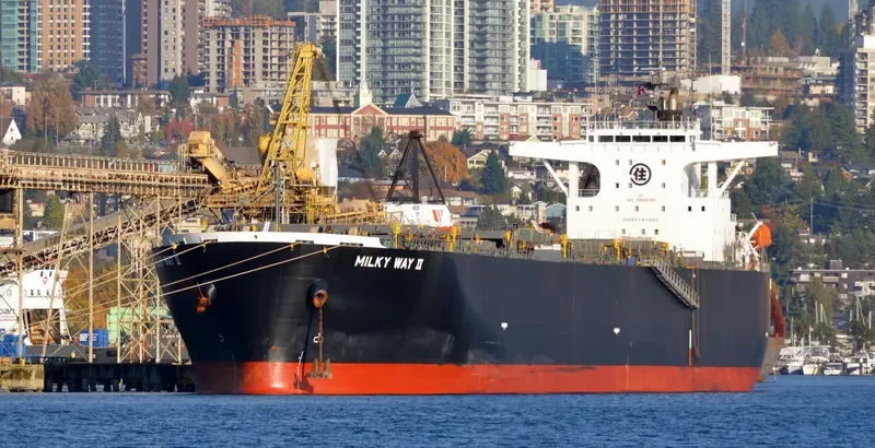 MILKY WAY II Bulk Carrier IMO 9405447 photo 8