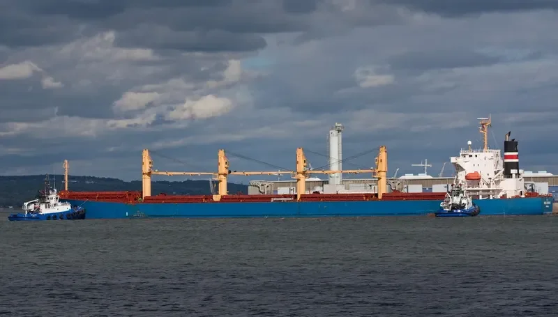 VINALINES BRAVE Bulk Carrier IMO 9405459