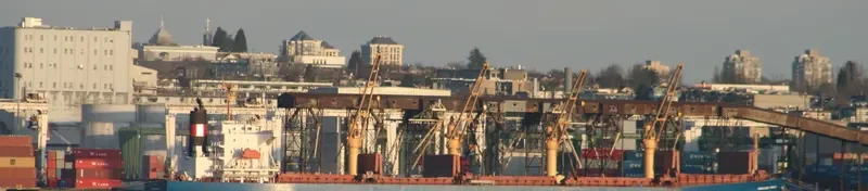 VINALINES BRAVE Bulk Carrier IMO 9405459 photo 5