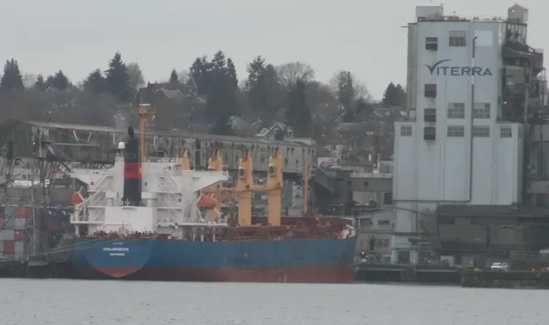 VINALINES BRAVE Bulk Carrier IMO 9405459 photo 6