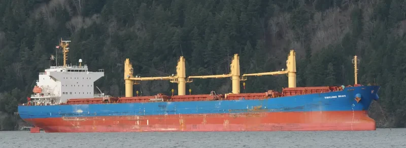 VINALINES BRAVE Bulk Carrier IMO 9405459 photo 7