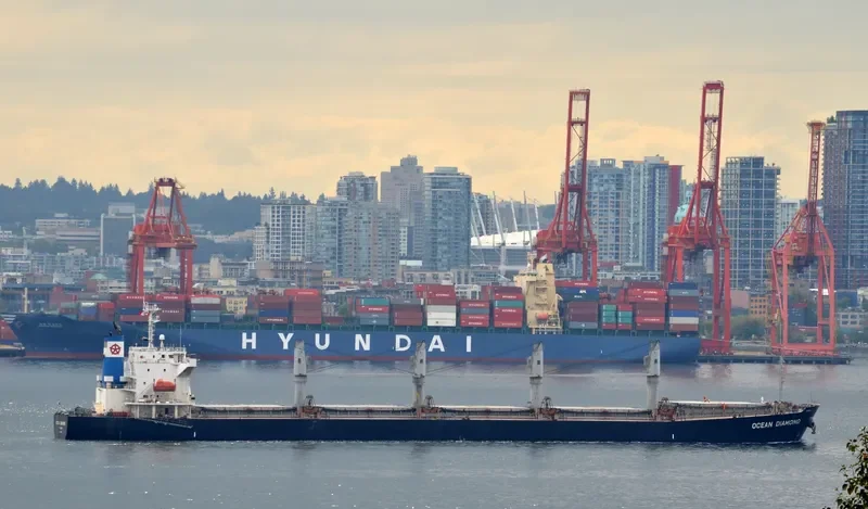 LUMOSO HARMONI Bulk Carrier IMO 9405461 photo 5