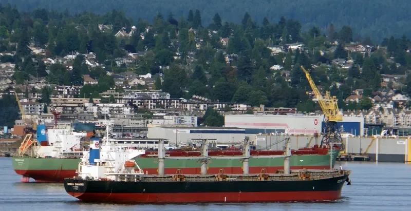 LUMOSO HARMONI Bulk Carrier IMO 9405461 photo 8