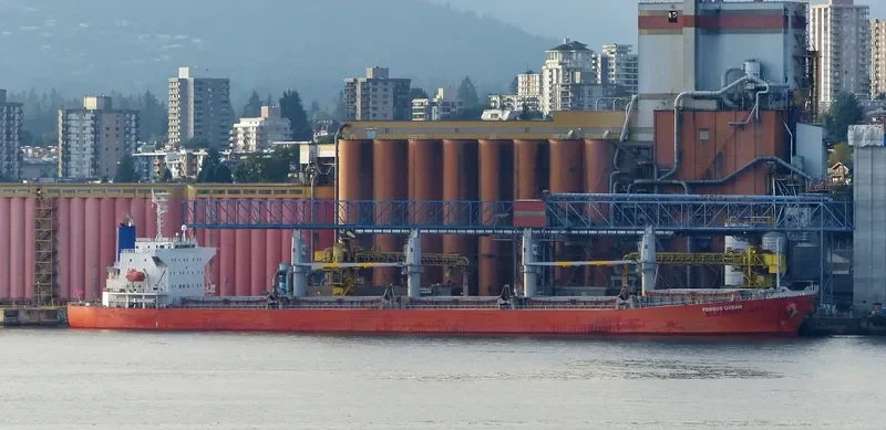 LUMOSO HAWARI Bulk Carrier IMO 9405473 photo 3