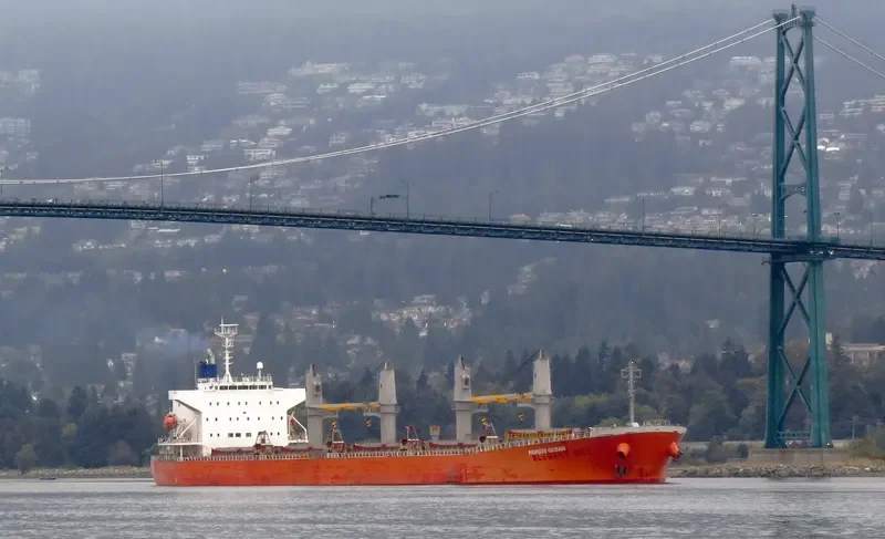 LUMOSO HAWARI Bulk Carrier IMO 9405473 photo 4