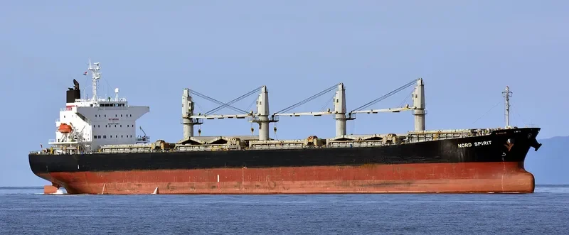 POSEIDON S Bulk Carrier IMO 9405485 photo 4
