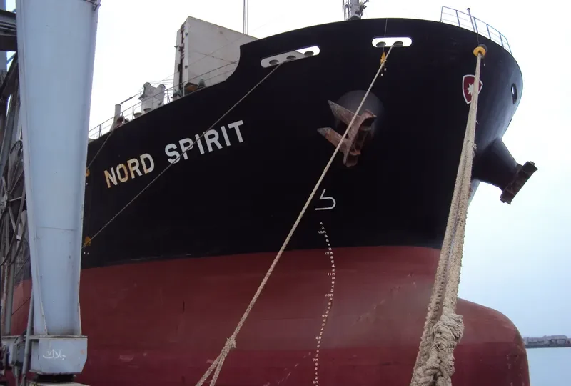 POSEIDON S Bulk Carrier IMO 9405485 photo 7