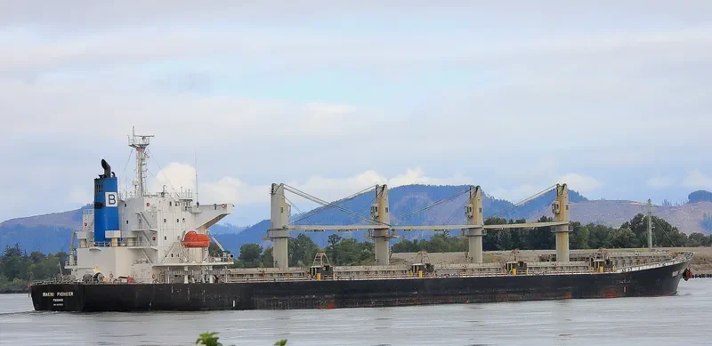 JAWAD Bulk Carrier IMO 9405502 photo 5