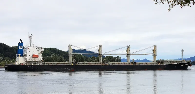 JAWAD Bulk Carrier IMO 9405502 photo 6