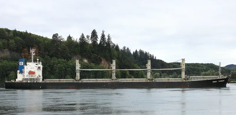 JAWAD Bulk Carrier IMO 9405502 photo 7