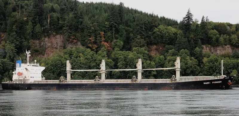 JAWAD Bulk Carrier IMO 9405502 photo 9