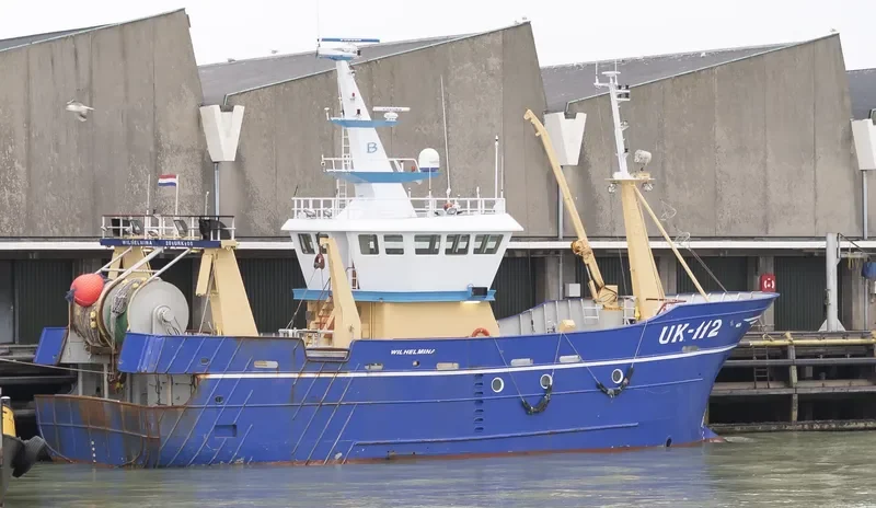 WILHELMINA General Cargo IMO 9405590
