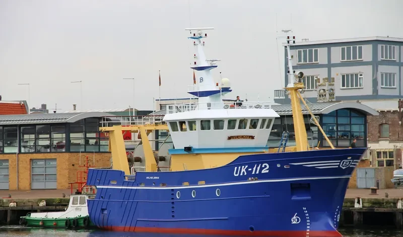 WILHELMINA General Cargo IMO 9405590 photo 7