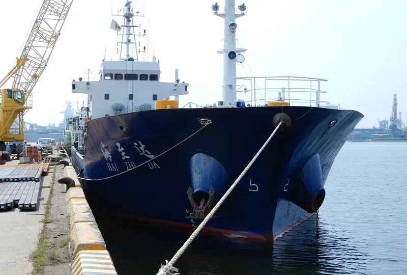 RICH GAIN General Cargo IMO 9405681 photo 2