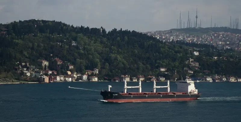 BAHJAT Bulk Carrier IMO 9405954 photo 6
