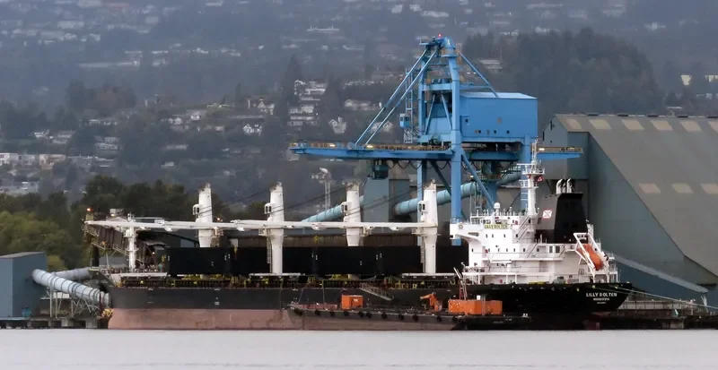 LILLY BOLTEN Bulk Carrier IMO 9406063 photo 25