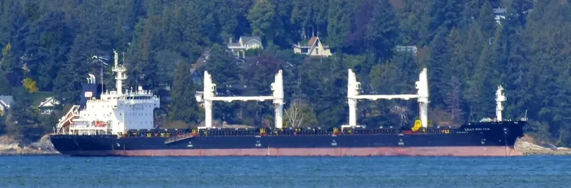 LILLY BOLTEN Bulk Carrier IMO 9406063 photo 30