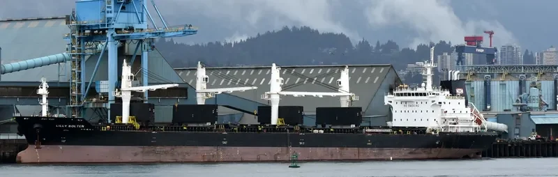 LILLY BOLTEN Bulk Carrier IMO 9406063 photo 31