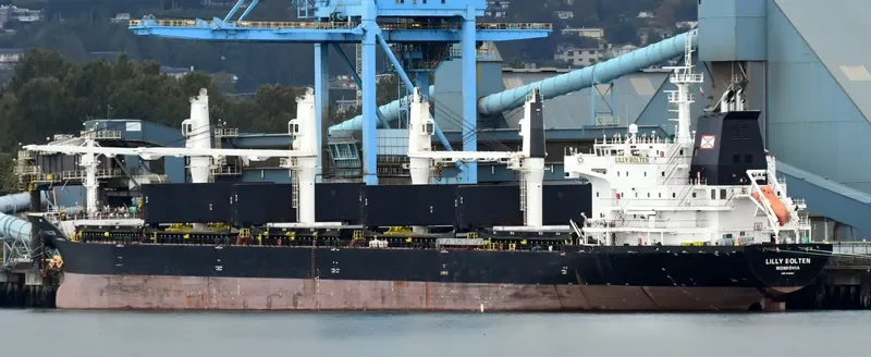 LILLY BOLTEN Bulk Carrier IMO 9406063 photo 33