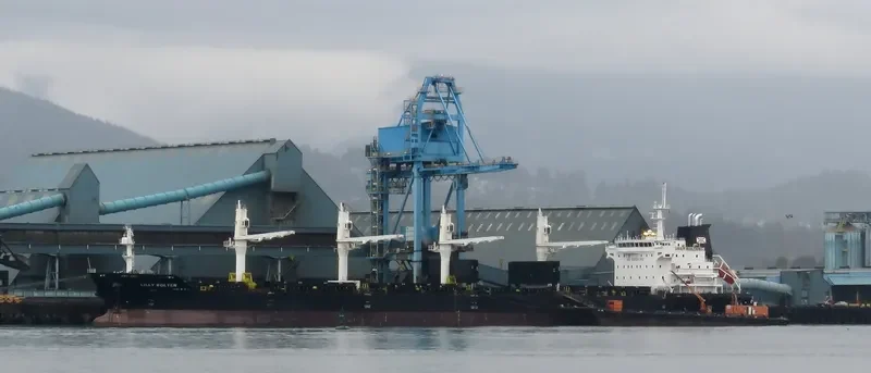 LILLY BOLTEN Bulk Carrier IMO 9406063 photo 37