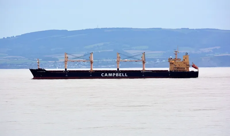 CHARLINE Bulk Carrier IMO 9406087 photo 2