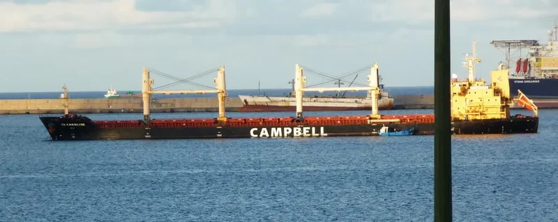 CHARLINE Bulk Carrier IMO 9406087 photo 3