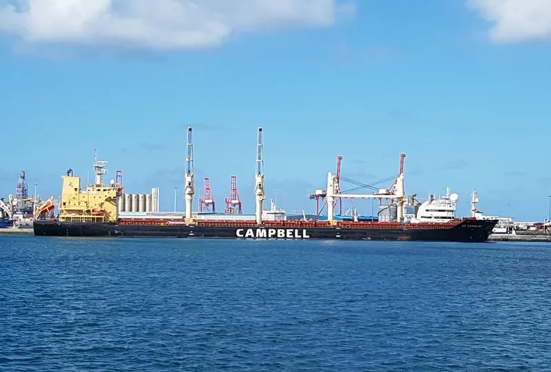 CHARLINE Bulk Carrier IMO 9406087 photo 4