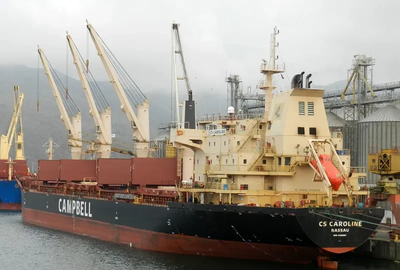 CHARLINE Bulk Carrier IMO 9406087 photo 5