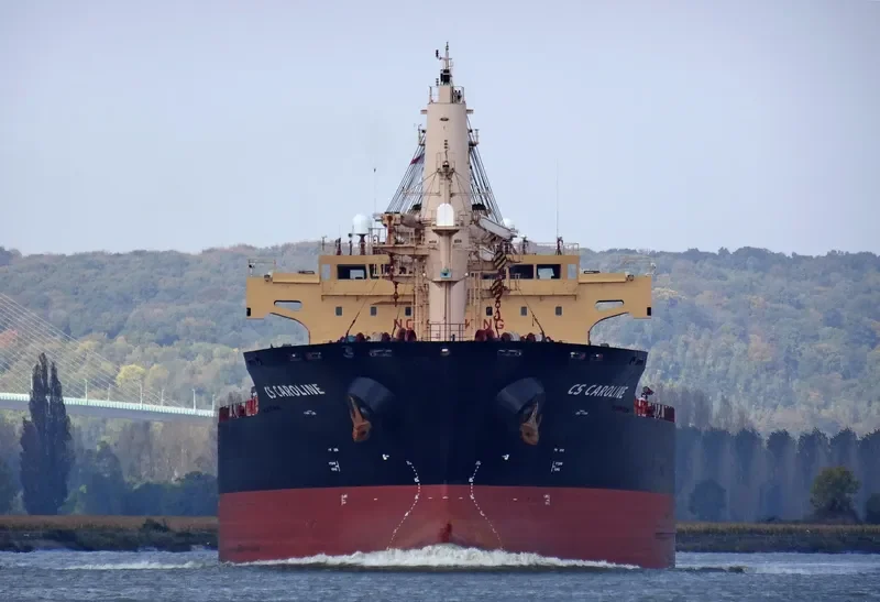 CHARLINE Bulk Carrier IMO 9406087 photo 6