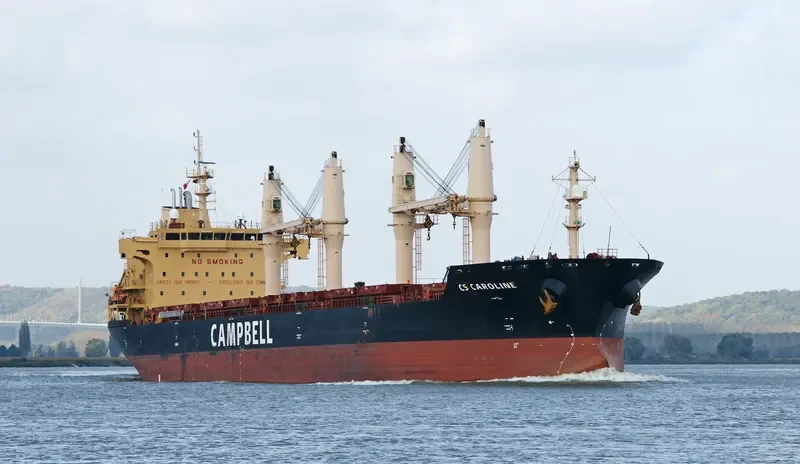 CHARLINE Bulk Carrier IMO 9406087 photo 7