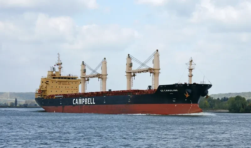 CHARLINE Bulk Carrier IMO 9406087 photo 8