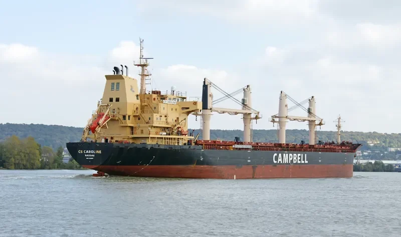 CHARLINE Bulk Carrier IMO 9406087 photo 9