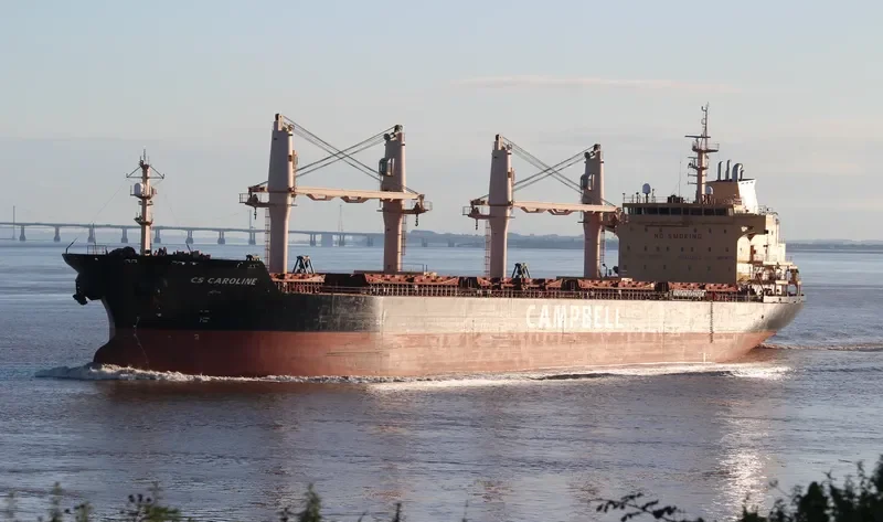 CHARLINE Bulk Carrier IMO 9406087 photo 10