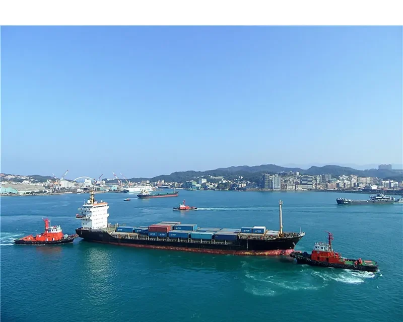 DANUM 173 Container Ship IMO 9406271 photo 2