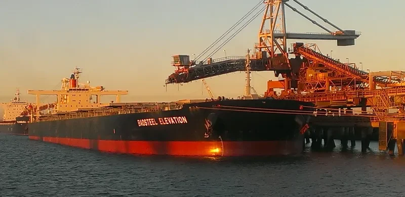 BAOSTEEL ELEVATION Bulk Carrier IMO 9406453 photo 3
